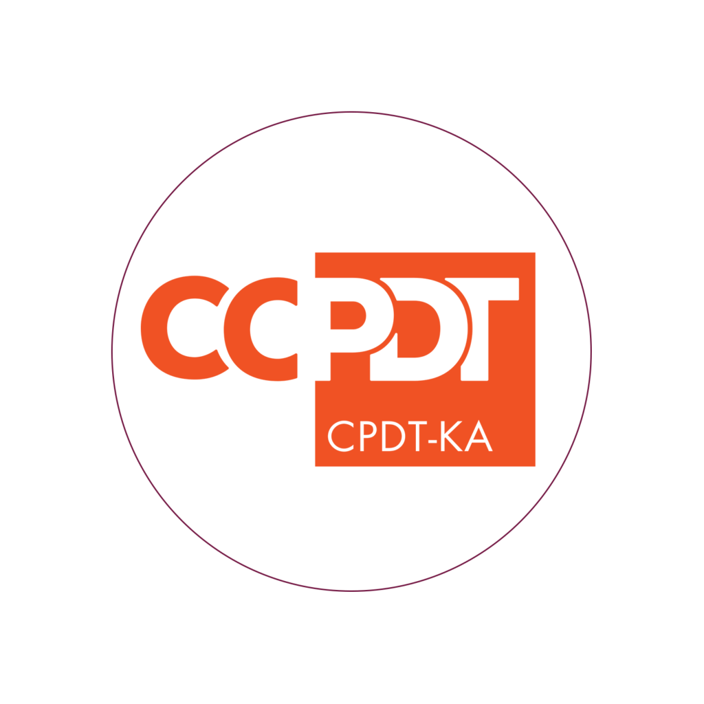 Logo CCPDT
